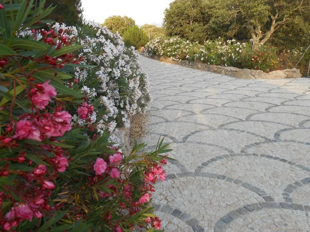 Bauernhof Agriturismo Rocce Bianche - Porticato Arbus